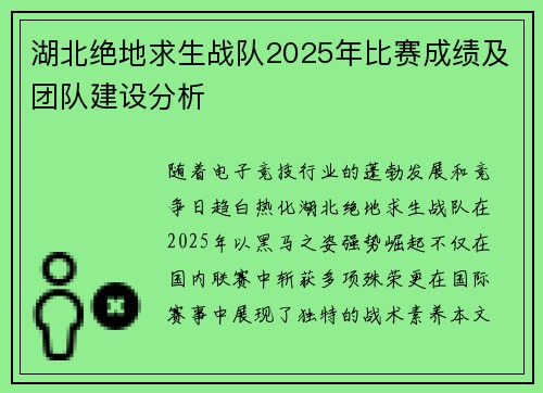湖北绝地求生战队2025年比赛成绩及团队建设分析