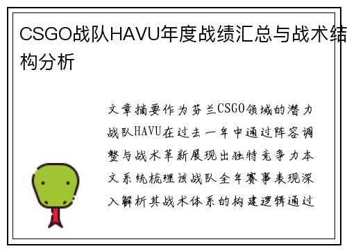 CSGO战队HAVU年度战绩汇总与战术结构分析